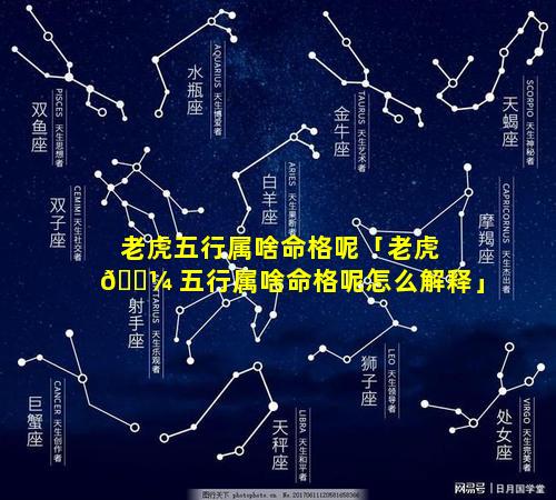 老虎五行属啥命格呢「老虎 🌼 五行属啥命格呢怎么解释」